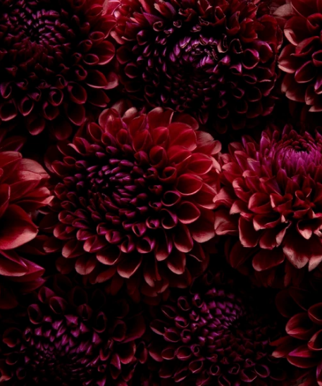 Arinaz Image